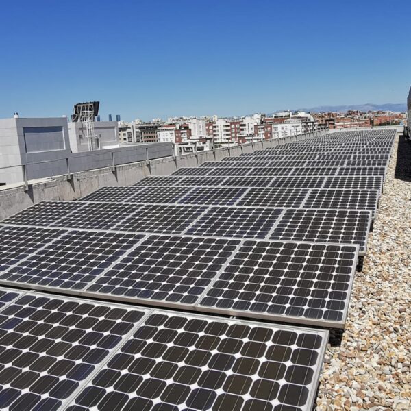 Servicios 4 COLECTIVO 02